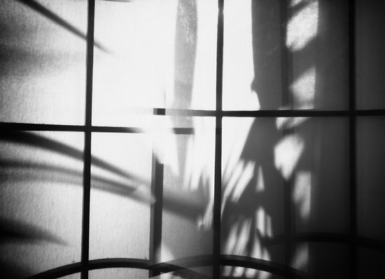 Shadows on a Shoji Screen