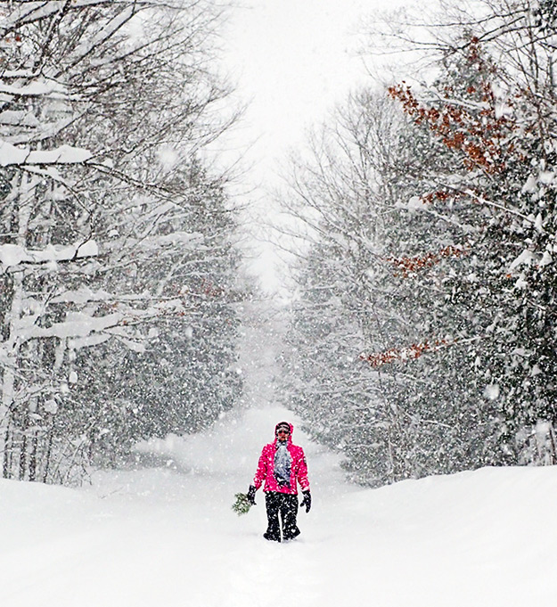 snowy day